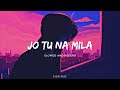 Jo Tu Na Mila Slowed Reverb