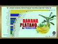 Largest Producer Of Banana In The World