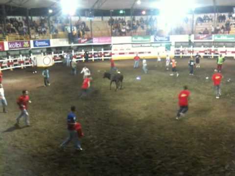 Costa Rican bullfighting (circulo) - Toros a la Tica