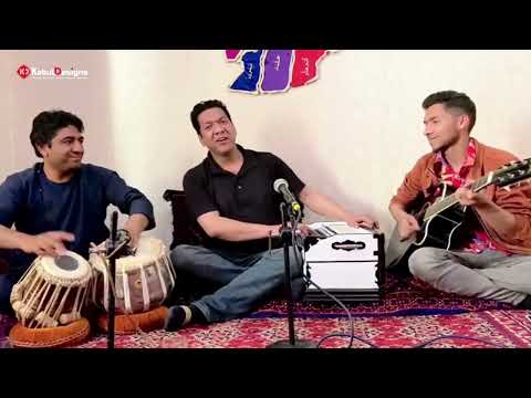 Farid Wali | Dilam Emshab Haway Yar Karda | آهنگ فرید ولی | دلم امشت هوای یار کرده