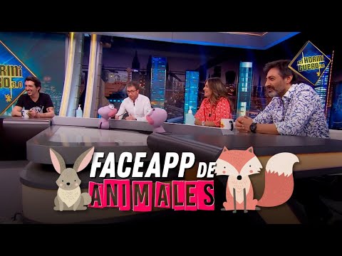 La versión animal de FaceApp - Trancas y Barrancas - El Hormiguero