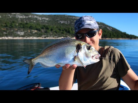 Praktični ribolov - Jesenski ribolov orade na srdelu