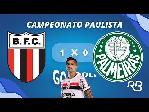 GOL DO BOTAFOGO! GOL DE LEANDRO MACIEL! Botafogo-SP 1 X 0 Palmeiras