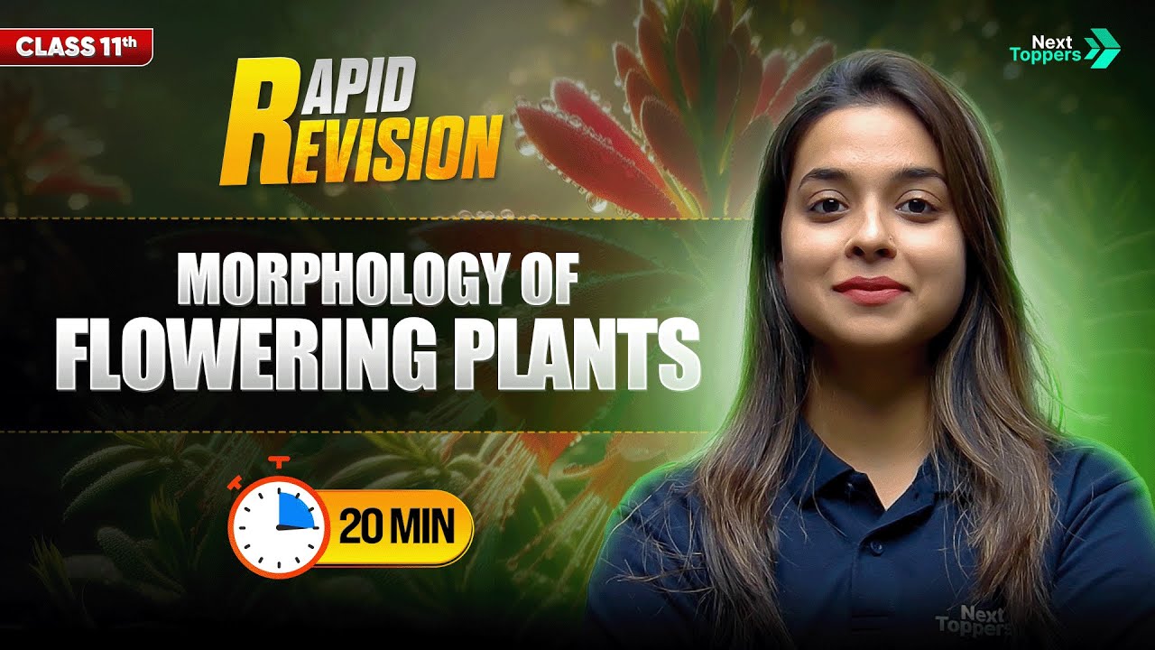 Morphology of Flowering Plants | CBSE Class 11 Biology| Full Chapter in 2️⃣0️⃣ Mins | Rapid Revision
