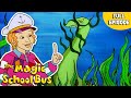 How Submarines Work Buoyancy Ups And Downs Full Episode The Magic School Bus