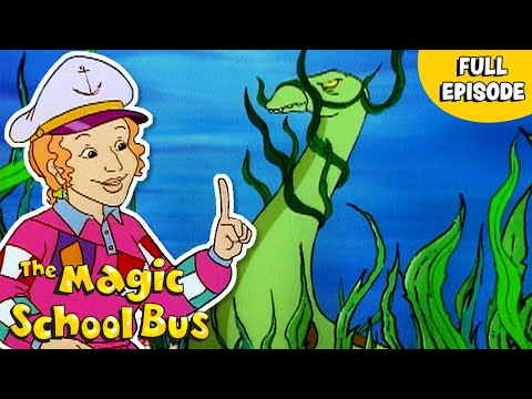 How Submarines Work | Buoyancy | Ups and Downs | Full Episode | The Magic School Bus