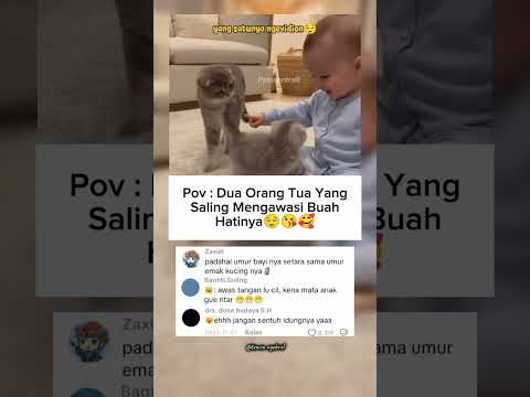 hanya tuhan yang tahu mereka bicarain apa🗿👁👄👁😭#shorts #cat