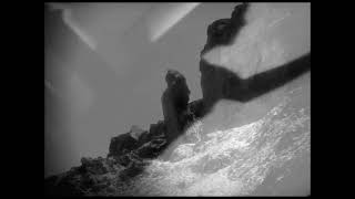 Music video thumbnail preview for Henry Cow - Little Red Riding Hood Hits The Road by Henry Cow