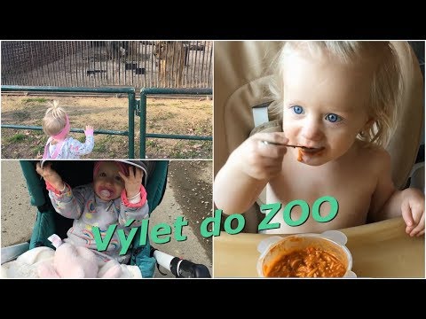 Výlet do ZOO | MamaVlog