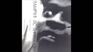 Tribe Of Colin - Return To The Womb [5 Gate Temple]