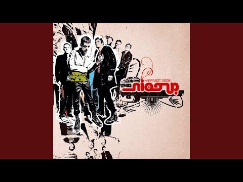 מלכת הדבורים