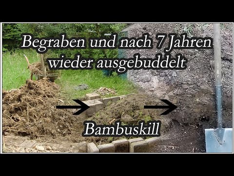 Bambus loswerden ohne ausgraben - Fett unter Erde begraben