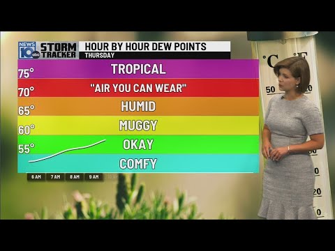 08/03/2023: Summer weather returns today