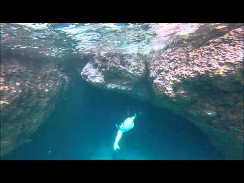 les poissons volant by HooLi