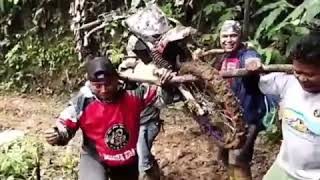 Download lagu story wa 30 detik | Motor Trail mp3 Download lagu story wa 30 detik | Motor Trail mp3