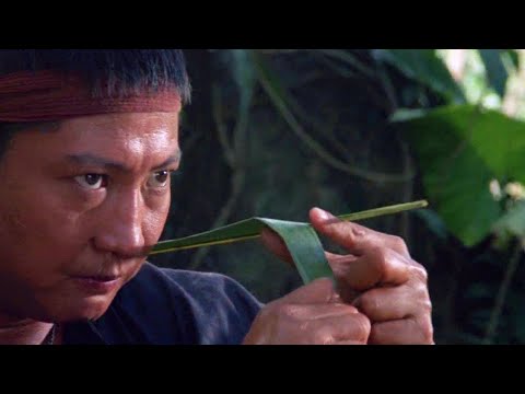 Sammo Hung and Yuen Biao weaponize leaves to defeat entire Vietnamese Army!