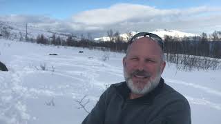 10 - Norway 2019 - Tromsø - Wild Reindeer