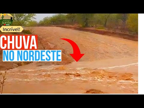 Desbravando o Sertão and 2 more