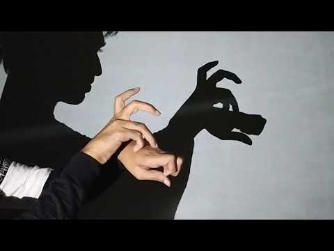 Hand shadow Performance III Make fox By Hand shadow - Shadowgraphy - shadoes