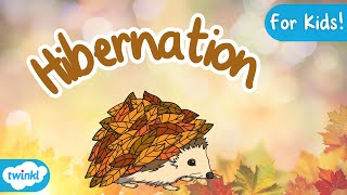 What is Hibernation? | Hibernation for Kids!