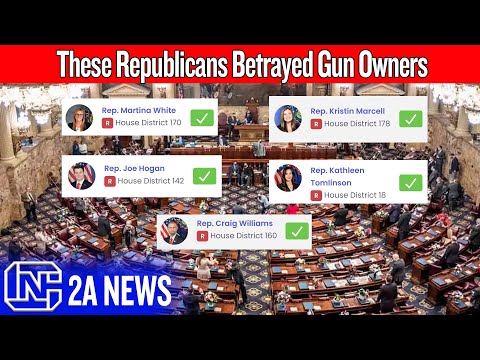 PA Republicans Help Democrats Pass Gun Control Bill