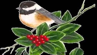 Mini Mini Bir Kuş Donmuştu Şarkısı