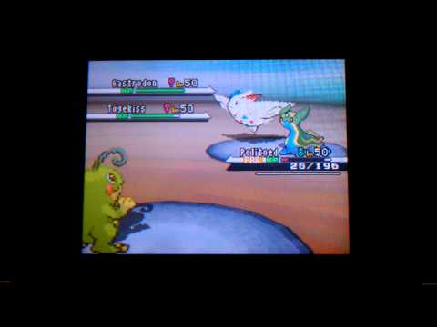 VGC 2013 Autumn Regionals round 6