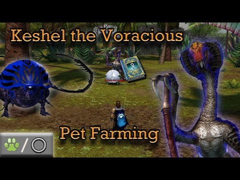 Pet Farming Elite Monk Tomes, Keshel the Voracious - Guild Wars Ranger Farm R/Any, HM