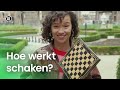 Hoe werkt schaken?