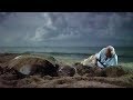 Saving Leatherback Turtles In Trinidad Blue Planet II