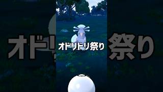 オドリドリ祭りに参加してみた結果… #ポケモンgo #shorts