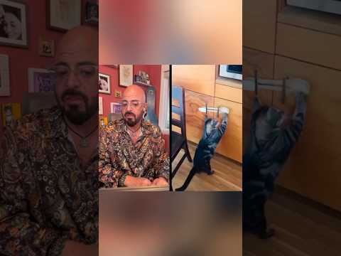 Cat PROOF your home! (I have a video on how to do it)! #cats #catvideos