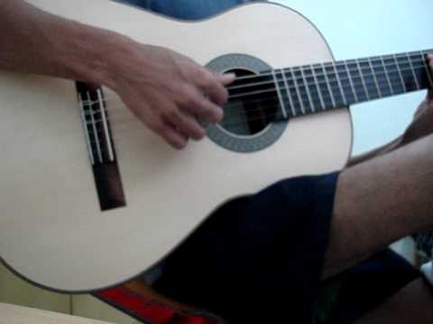 Concert Guitar (Marcos Evangelista)-Brand New