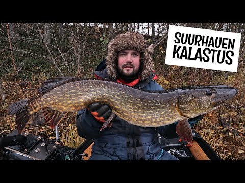 HAUENKALASTUS VIRTAVESISSÄ - MILLÄ JA MISTÄ SUURHAUET LÖYTÄÄ SYKSYLLÄ?