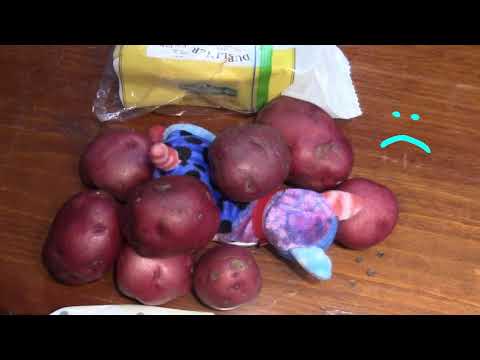 The Open Container Initiative (OCI) Part 3: How to Contribute