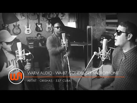 Warm Audio // Orishas "537 Cuba" - WA-87 Condenser Microphone