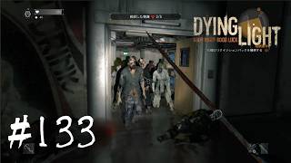 ＃133【Dying Light：悪夢ニューゲームプラス】　ここがかの有名な隔離区域：スタッフドタートル