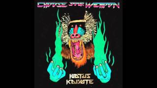 Hiatus Kaiyote - 16 Only Time All the Time_ Making Friends with Studio Owl