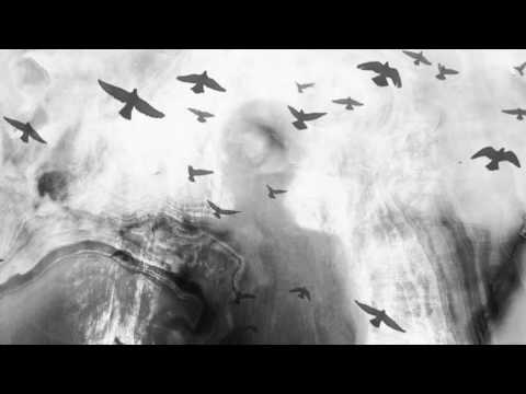 Sleep Dealer - My Own Universe