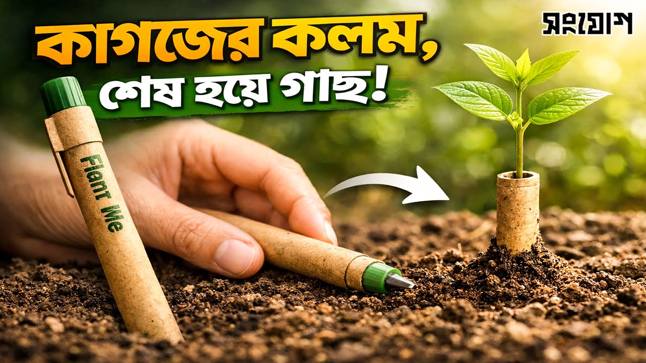 ফেলে দেয়া কলম থেকে গাছের চারা ! 