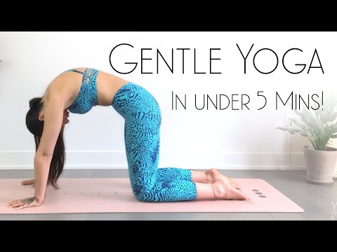 The BEST Morning Yoga Under 5 Minutes DO THESE STRETCHES DAILY Beginner Yoga