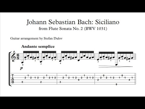 J. S. Bach: 'Siciliano' from Flute Sonata No. 2 (guitar arrangement)