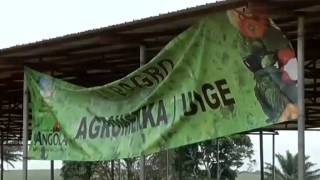 Camponeses no Uíge com dificuldades para escoar os produtos | TV Zimbo |