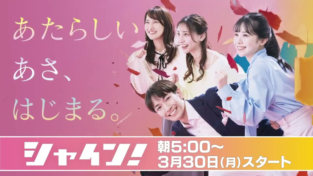 ハイライト動画