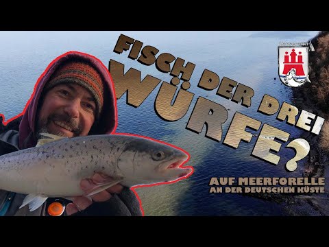 FISH OF THE THREE LITTERS? (sea trout on the German coast)