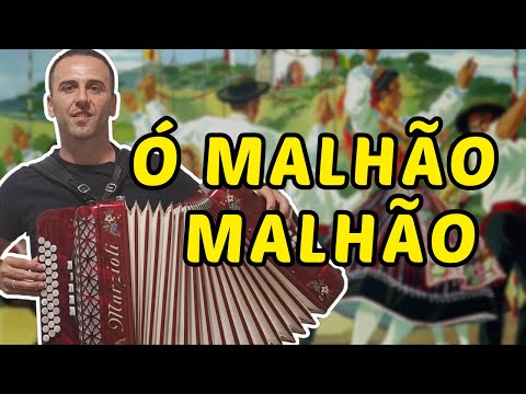 🎵 Música Portuguesa na Concertina: Ó Malhão Malhão [Concertina | Diatonic Button Accordion]