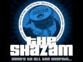 The Shazam - Gonna Miss Yer Train [demo] - Here's To All The Misfits (2009)