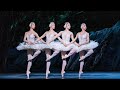 Watch Swan Lake In Cinemas On 19 May 2022