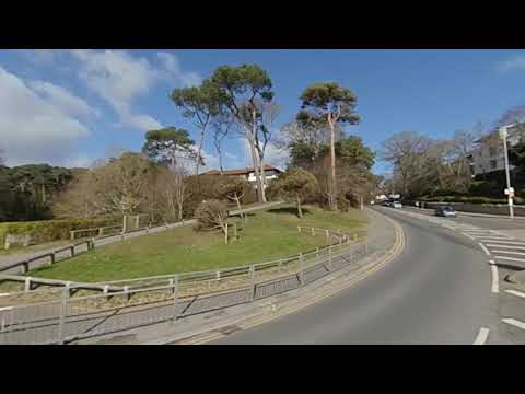 Philippa Sole, Area Guide — Branksome Dene