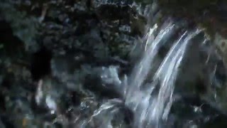 Ken  - Stubbs - Over the Rainbow